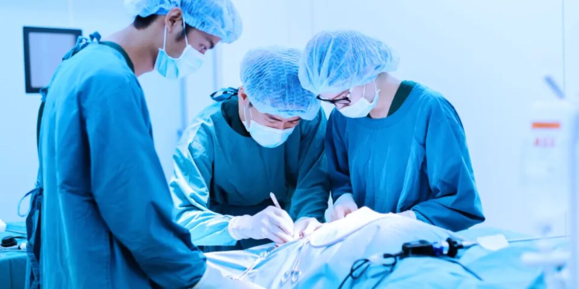 Un collage de imágenes que contiene 1 imagen. La imagen 1 muestra que los cirujanos veterinarios toman con un filtro azul.