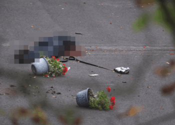 Una persona acostada en el suelo, parcialmente borrosa, junto a dos macetas de flores rojas volcadas con flores rojas.