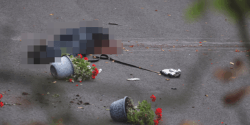Una persona acostada en el suelo, parcialmente borrosa, junto a dos macetas de flores rojas volcadas con flores rojas.