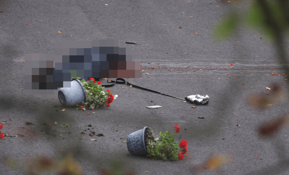 Una persona acostada en el suelo, parcialmente borrosa, junto a dos macetas de flores rojas volcadas con flores rojas.