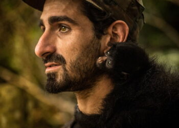 ¿Paul Rosolie fue realmente mutilado por un jaguar?