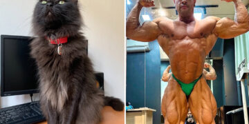 El influencer del culturismo Ricardo Nolasco dos Santos, de 31 años, murió de un derrame cerebral después de que falleciera su amado gato, afirma una madre