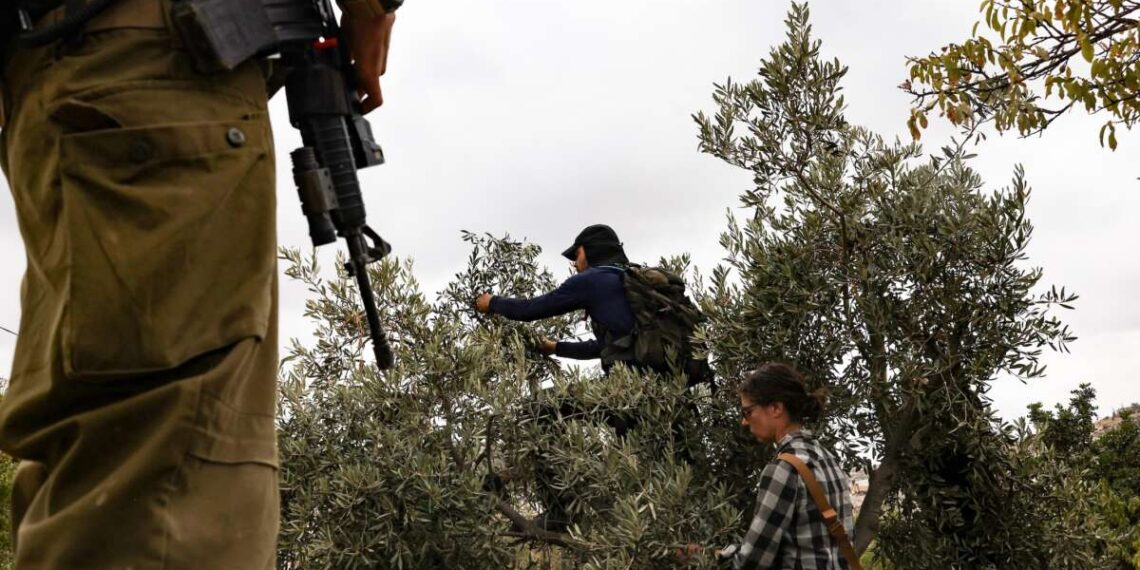 El número de muertos en Cisjordania en medio del genocidio supera los 1.000 mientras las fuerzas israelíes matan a un niño