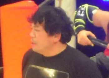 Un collage de imágenes que contiene 1 imágenes. La imagen 1 muestra NINTCHDBPICT001032004136