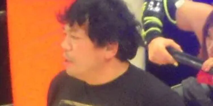 Un collage de imágenes que contiene 1 imágenes. La imagen 1 muestra NINTCHDBPICT001032004136