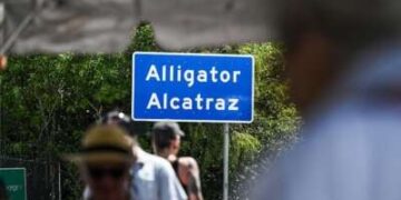 Las personas alrededor de un signo de cocodrilo Alcatraz están borrosos mientras el letrero permanece enfocado.