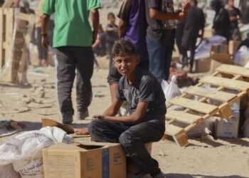 Funcionarios de Gaza: Israel sólo ha permitido la entrada del 14 por ciento de la ayuda requerida por el alto el fuego