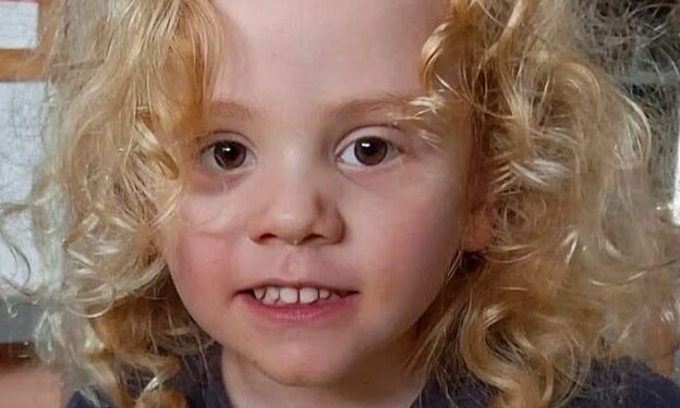 Primer plano de un niño pequeño con cabello rubio rizado y ojos marrones.