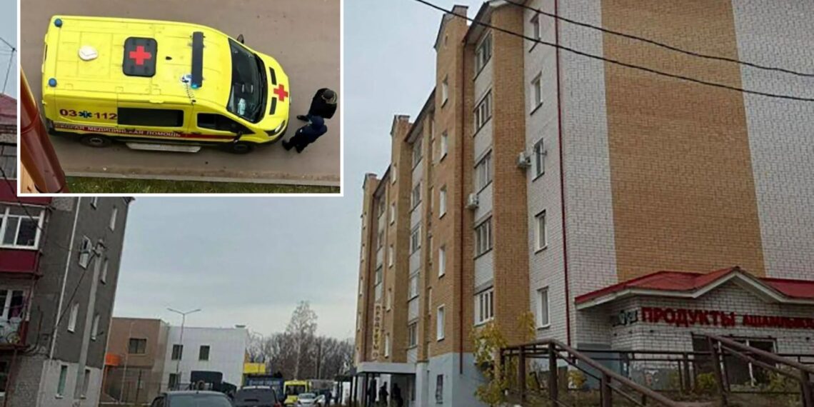 Un collage de imágenes que contiene 2 imágenes. La imagen 1 muestra NINTCHDBPICT001034043717, la imagen 2 muestra NINTCHDBPICT001034043718.