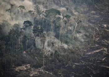 Los niveles de dióxido de carbono aumentaron a una cifra récord en 2024, advierten los expertos sobre el ciclo de retroalimentación