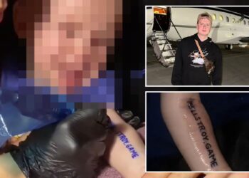 Un collage de imágenes que contiene 3 imágenes, la imagen 1 muestra NINTCHDBPICT001033263623, la imagen 2 muestra NINTCHDBPICT001033249925, la imagen 3 muestra NINTCHDBPICT001033249953