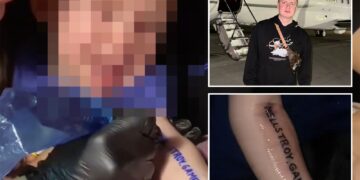 Un collage de imágenes que contiene 3 imágenes, la imagen 1 muestra NINTCHDBPICT001033263623, la imagen 2 muestra NINTCHDBPICT001033249925, la imagen 3 muestra NINTCHDBPICT001033249953