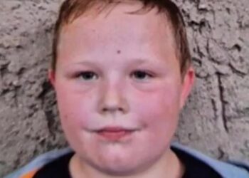 NINTCHDBPICT001035027336