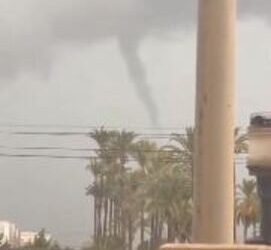 NINTCHDBPICT001030234647