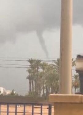 NINTCHDBPICT001030234647