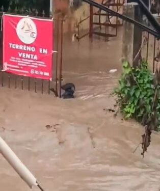 NINTCHDBPICT001030413852