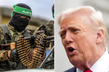 Momento impactante: los hambrientos habitantes de Gaza sacan al tiburón ballena del mar y lo 'matan para comer' mientras la ayuda llega poco a poco después del alto el fuego