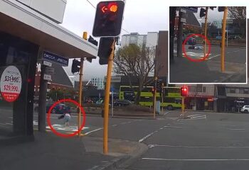 Momento impactante: un león gigante escapa de un camión en movimiento a 60 mph y se sube al TECHO antes de escapar en Sudáfrica