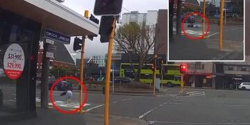 Momento impactante: un león gigante escapa de un camión en movimiento a 60 mph y se sube al TECHO antes de escapar en Sudáfrica