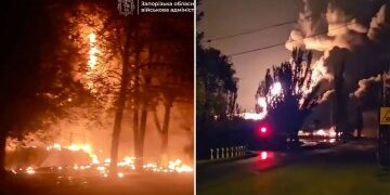 Trump instó a Zelensky a aceptar los términos de Putin para poner fin a la guerra o "destruir" Ucrania en una "pelea a gritos" en una reunión en la Casa Blanca.