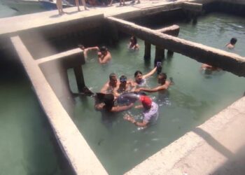 NINTCHDBPICT001031062422