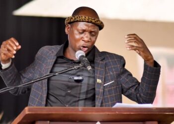 NINTCHDBPICT001030229713