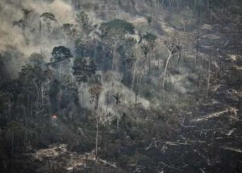 Vista aérea de un área afectada por incendios forestales en la selva amazónica en la región de Ucayali, Perú, el 17 de septiembre de 2024.