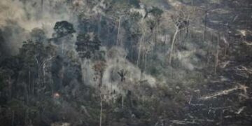 Vista aérea de un área afectada por incendios forestales en la selva amazónica en la región de Ucayali, Perú, el 17 de septiembre de 2024.