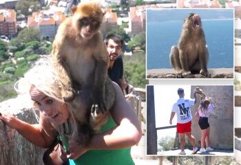 Una mirada poco común al interior del laberinto secreto del 'último bastión' de túneles a prueba de bombas construidos para defender el puesto avanzado británico de la invasión nazi