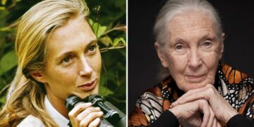 Conozca  sobre la familia Jane Goodall y el patrimonio neto