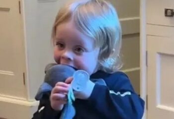 ¿Dónde se inventó Halloween y por qué la gente talla calabazas?