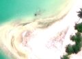 Una vista aérea de una isla con restos de aviones en el agua.