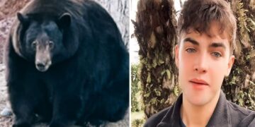 ¿Es verdadero o engaño el video del ataque del oso perezoso de TikToker Kyle Thomas?