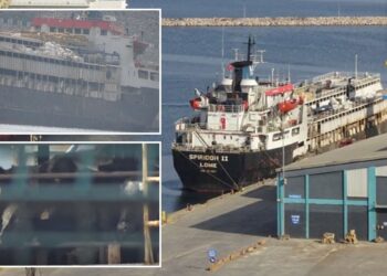 Un collage de imágenes que contiene 3 imágenes. La imagen 1 muestra NINTCHDBPICT001038936834, la imagen 2 muestra NINTCHDBPICT001038936905, la imagen 3 muestra NINTCHDBPICT001038936909.