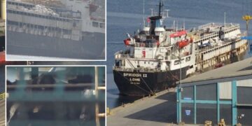 Un collage de imágenes que contiene 3 imágenes. La imagen 1 muestra NINTCHDBPICT001038936834, la imagen 2 muestra NINTCHDBPICT001038936905, la imagen 3 muestra NINTCHDBPICT001038936909.