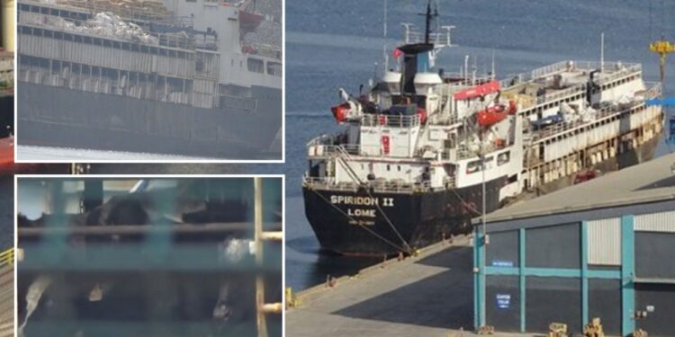 Un collage de imágenes que contiene 3 imágenes. La imagen 1 muestra NINTCHDBPICT001038936834, la imagen 2 muestra NINTCHDBPICT001038936905, la imagen 3 muestra NINTCHDBPICT001038936909.