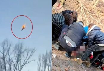 Adolescente violada en grupo por inmigrantes frente a su prometido describe valientemente su terrible experiencia y revela la horrorosa amenaza que usaron para silenciarla