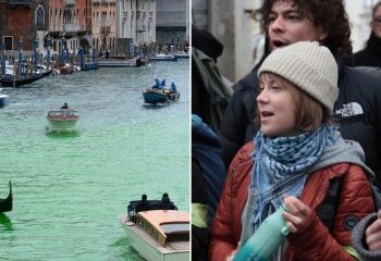 Cena glamorosa y apuesto influencer falso Pei Chung ENCARCELADO después de 'estafar al menos a 8 restaurantes elegantes para que sirvieran comida gratis'