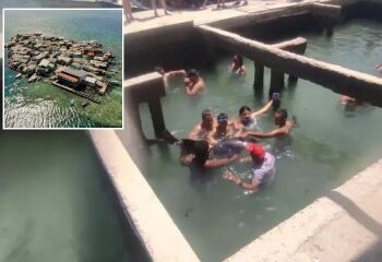 Cómo se dejó que el gran tiburón blanco de 16 pies 'Rosie' se pudriera en un tanque de formaldehído mientras el dueño levanta la tapa de la 'mascota' muerta en el patio trasero