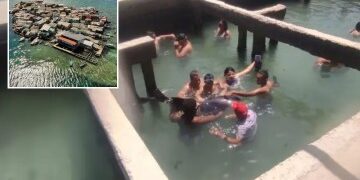 Cómo se dejó que el gran tiburón blanco de 16 pies 'Rosie' se pudriera en un tanque de formaldehído mientras el dueño levanta la tapa de la 'mascota' muerta en el patio trasero