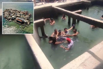 Cómo se dejó que el gran tiburón blanco de 16 pies 'Rosie' se pudriera en un tanque de formaldehído mientras el dueño levanta la tapa de la 'mascota' muerta en el patio trasero