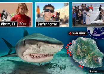 Dentro de la 'autopista de tiburones' más mortífera de la isla de luna de miel, donde la niña fue partida por la mitad y la mano de Brit fue encontrada dentro de la bestia