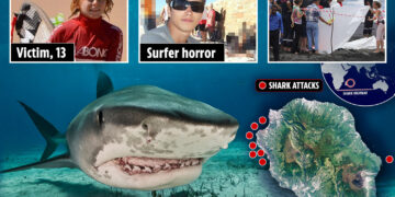 Dentro de la 'autopista de tiburones' más mortífera de la isla de luna de miel, donde la niña fue partida por la mitad y la mano de Brit fue encontrada dentro de la bestia