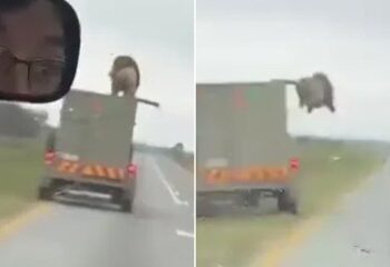 Dos marineros en la 'aventura de su vida' encontrados muertos en un yate frente a la costa de Sudáfrica después de un presunto ataque pirata