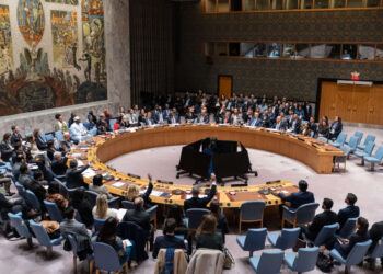 El Consejo de Seguridad concede vergonzosamente la dominación colonial sobre Palestina a Estados Unidos