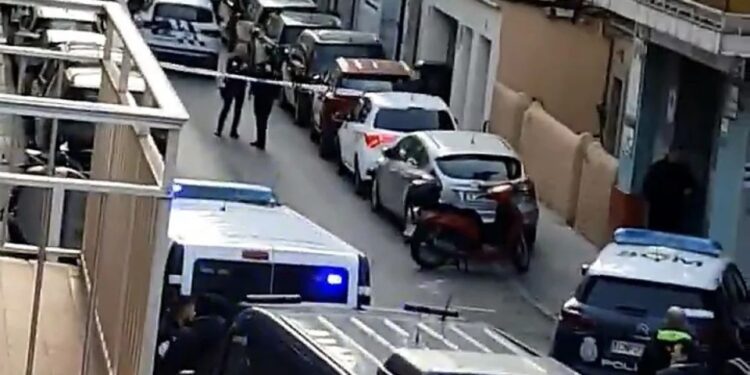 NINTCHDBPICT001040755922