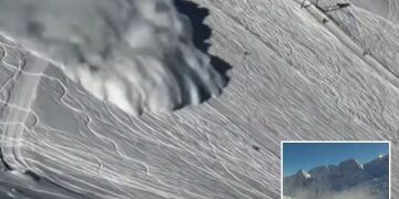 El cuerpo del influencer que desapareció después de una fiesta de Navidad fue encontrado 'metido en una maleta'