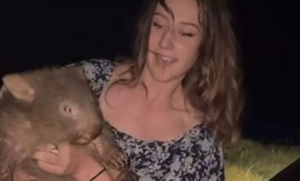 El infame influenciador ladrón de wombat Sam Jones, que indignó a Australia, es ARRESTADO por un error de caza