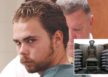 Un collage de imágenes que contiene 2 imágenes. La imagen 1 muestra la ejecución en Carolina del Sur. La imagen 2 muestra NINTCHDBPICT000986639529.