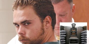 Un collage de imágenes que contiene 2 imágenes. La imagen 1 muestra la ejecución en Carolina del Sur. La imagen 2 muestra NINTCHDBPICT000986639529.